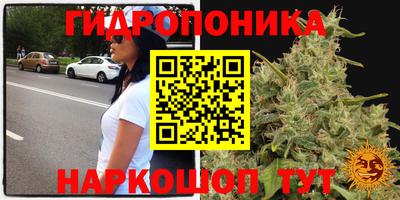 ГАЛЛЮЦИНОГЕННЫЕ ГРИБЫ Кингисепп