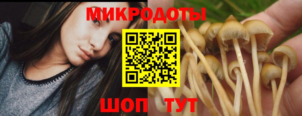 Уссурийск  Псилоцибиновые грибы Magic Shrooms  Вход с VPN 